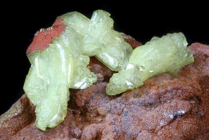 Gemmy, Green Adamite Crystals - Durango, Mexico #34939
